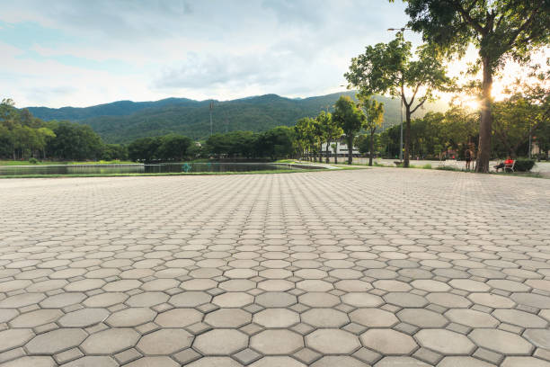 Best Affordable Driveway Paving  in Herlong, CA